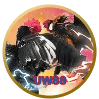 UW88